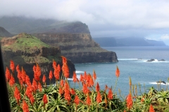la pointe de Sao Lourenço (2)