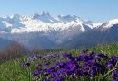 Tout en haut des cimes de la Savoie…