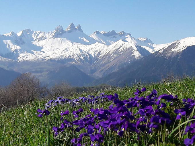 Tout en haut des cimes de la Savoie…