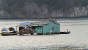 Plus de 1000 personnes vivent sur la baie d'Halong dans ces maisons flottantes