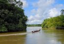 Guyane : entre histoire, nature et aventure