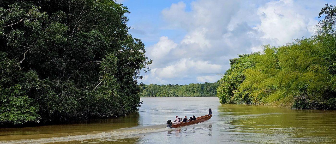 Guyane : entre histoire, nature et aventure Guyane : entre histoire, nature et aventure