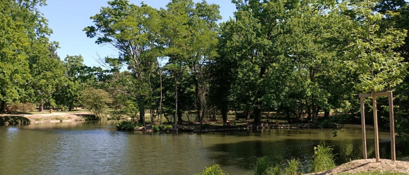 Le Vésinet, ville parc d&rsquo;exception