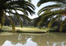 A Rabat, le golf c’est « Royal »…