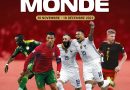<strong>Le guide de la Coupe du monde de football au Qatar</strong>