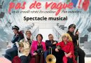 Découvrez le spectacle musical : « Toujours pas de vague ! »