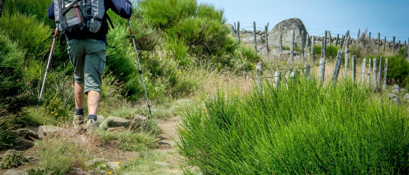La Voie de Rocamadour vers Compostelle : itinéraire buissonnier en Limousin et Haut-Quercy